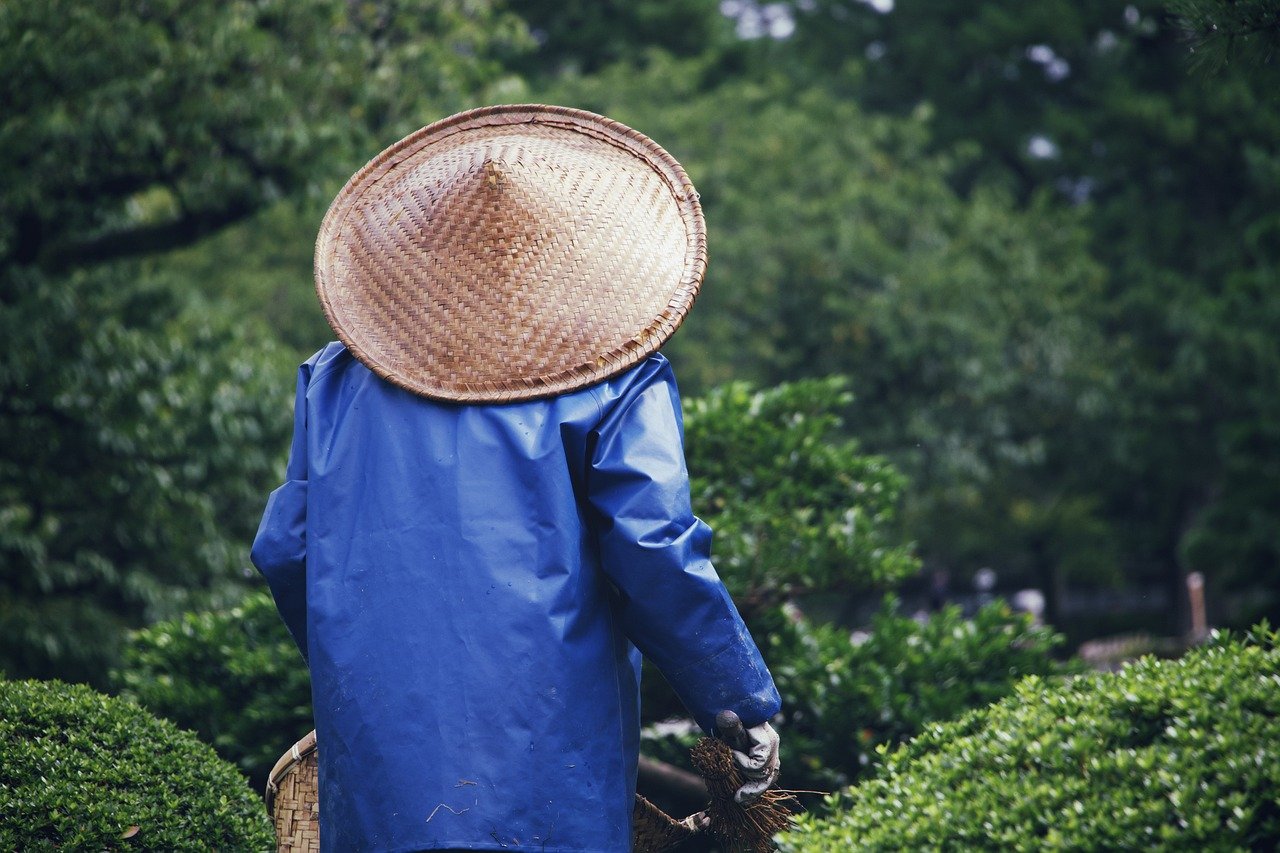 The Benefits of Urban Gardening - Grow Your Own Food